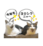 mon*habi【あけおめ・メリクリ・誕生日】①（個別スタンプ：11）