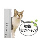 mon*habi【あけおめ・メリクリ・誕生日】①（個別スタンプ：13）