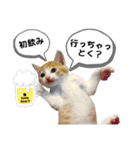 mon*habi【あけおめ・メリクリ・誕生日】①（個別スタンプ：16）