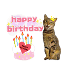 mon*habi【あけおめ・メリクリ・誕生日】①（個別スタンプ：21）