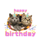 mon*habi【あけおめ・メリクリ・誕生日】①（個別スタンプ：22）
