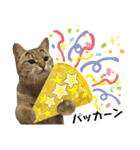 mon*habi【あけおめ・メリクリ・誕生日】①（個別スタンプ：23）