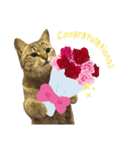 mon*habi【あけおめ・メリクリ・誕生日】①（個別スタンプ：24）