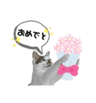 mon*habi【あけおめ・メリクリ・誕生日】①（個別スタンプ：25）