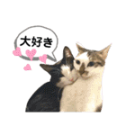 mon*habi【あけおめ・メリクリ・誕生日】①（個別スタンプ：29）