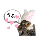 mon*habi【あけおめ・メリクリ・誕生日】①（個別スタンプ：32）