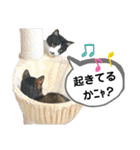 mon*habi【あけおめ・メリクリ・誕生日】①（個別スタンプ：33）
