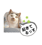 mon*habi【あけおめ・メリクリ・誕生日】①（個別スタンプ：34）