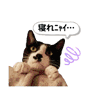 mon*habi【あけおめ・メリクリ・誕生日】①（個別スタンプ：35）
