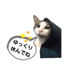 mon*habi【あけおめ・メリクリ・誕生日】①（個別スタンプ：39）