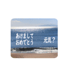 きちんと大人スタンプ～年末年始2023～（個別スタンプ：7）