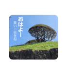 きちんと大人スタンプ～年末年始2023～（個別スタンプ：18）