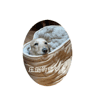 圧倒的勝利者（個別スタンプ：4）