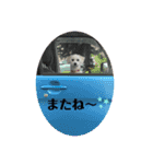 mokako8（個別スタンプ：2）