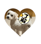 mokako8（個別スタンプ：3）