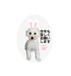 mokako8（個別スタンプ：5）