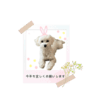 mokako8（個別スタンプ：6）