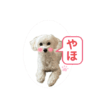 mokako8（個別スタンプ：14）