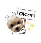 mokakoまるぷー（個別スタンプ：10）
