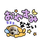 mokakoまるぷー（個別スタンプ：20）