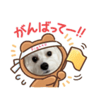 mokakoまるぷー（個別スタンプ：23）