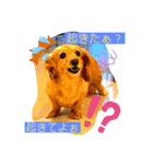 くーたんCREAの日常（個別スタンプ：4）