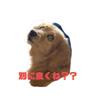 くーたんCREAの日常（個別スタンプ：8）