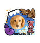 くーたんCREAの日常（個別スタンプ：17）
