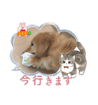 くーたんCREAの日常（個別スタンプ：18）