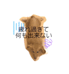 くーたんCREAの日常（個別スタンプ：19）