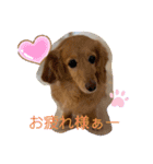 くーたんCREAの日常（個別スタンプ：24）