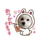 まるぷーmokako！（個別スタンプ：5）