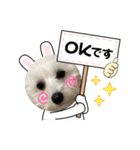 まるぷーmokako！（個別スタンプ：7）