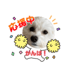 まるぷーmokako！（個別スタンプ：9）