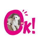 まるぷーmokako！（個別スタンプ：14）
