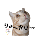 ふぁんとむ2021 part1（個別スタンプ：4）