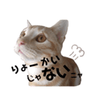 ふぁんとむ2021 part1（個別スタンプ：5）