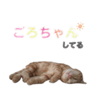 ふぁんとむ2021 part1（個別スタンプ：11）