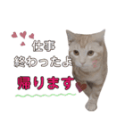 ふぁんとむ2021 part1（個別スタンプ：12）