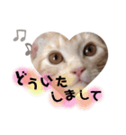 ふぁんとむ2021 part1（個別スタンプ：18）