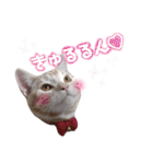ふぁんとむ2021 part1（個別スタンプ：21）