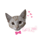 ふぁんとむ2021 part1（個別スタンプ：22）