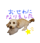 ルアナ☆ダップー2さい（個別スタンプ：2）