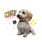 ルアナ☆ダップー2さい（個別スタンプ：9）