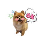 あっくんとテディ④（個別スタンプ：9）