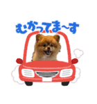 あっくんとテディ④（個別スタンプ：12）