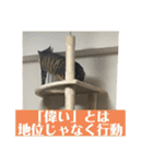 GO GO ラクレット（個別スタンプ：13）