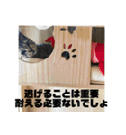 GO GO ラクレット（個別スタンプ：24）