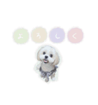 ♡yumiko様（個別スタンプ：2）