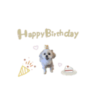 ♡yumiko様（個別スタンプ：11）